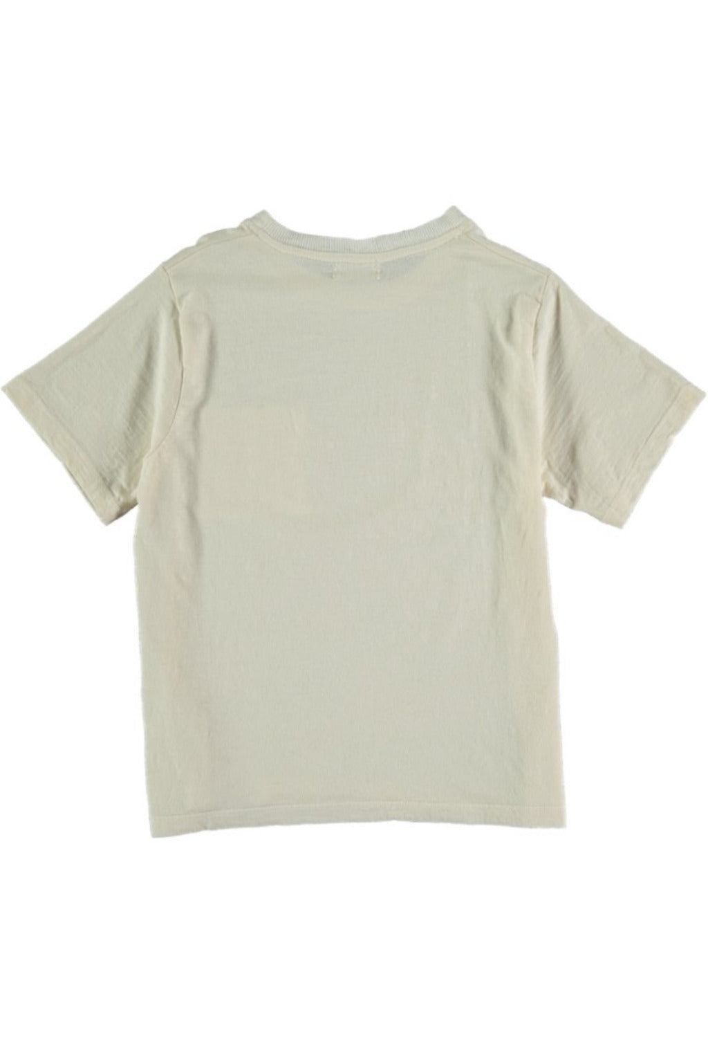 Shirt Zenk ivory